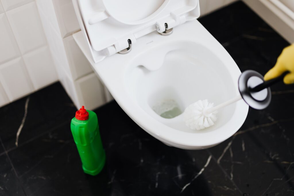 image of a toilet bowl