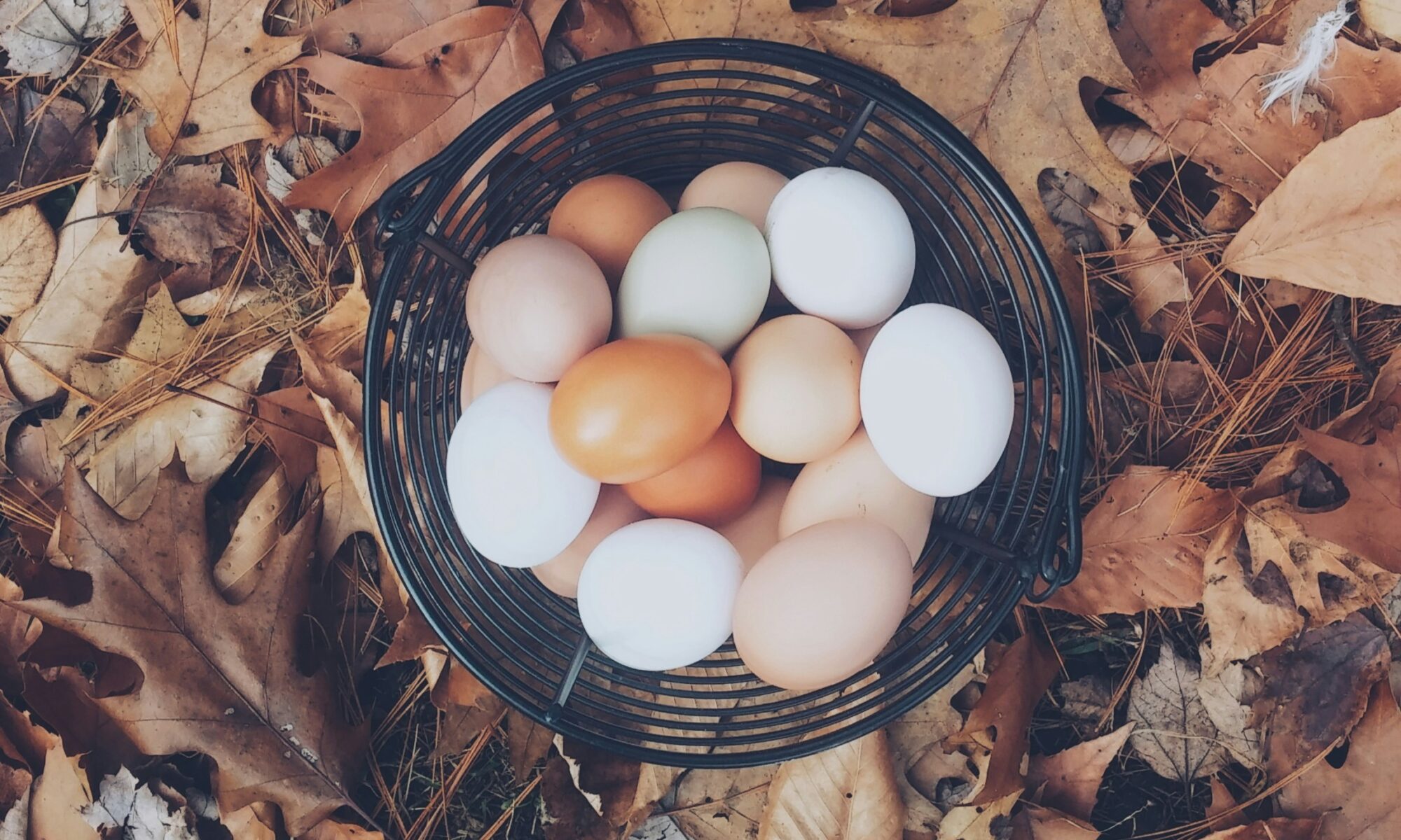 different kinds of eggs in a basket