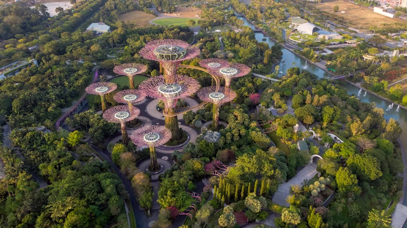 Gardens by the bay