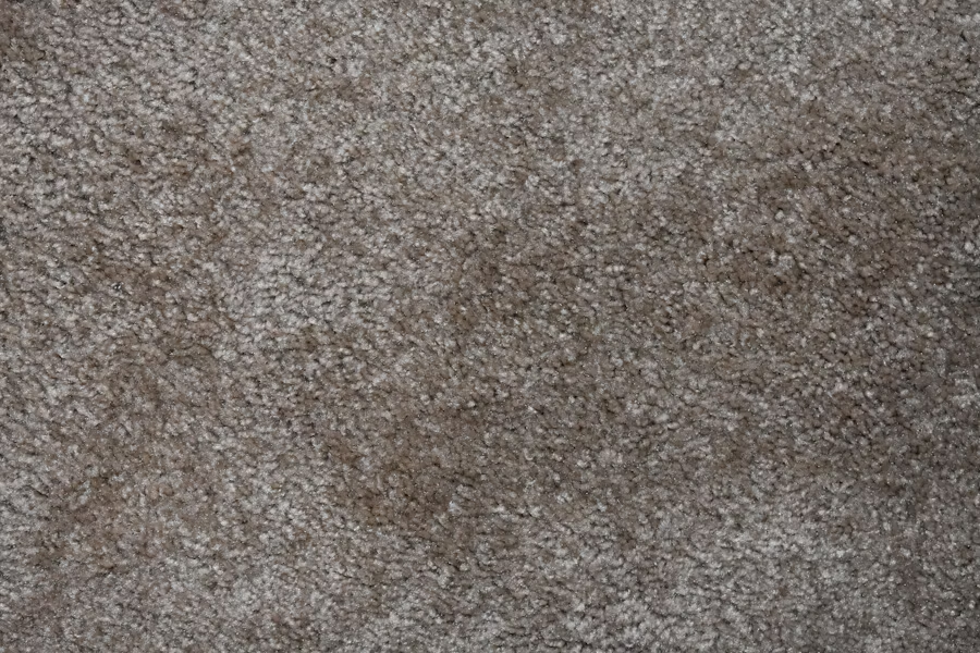 stained carpet